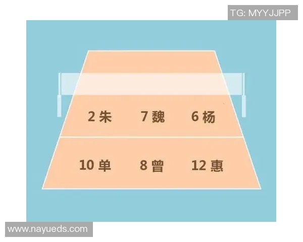 重庆排球队反击战术解析与未来发展展望 重庆排球队反击战术解析与未来发展展望