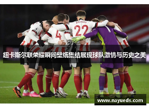 纽卡斯尔联荣耀瞬间壁纸集结展现球队激情与历史之美