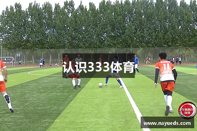 认识333体育